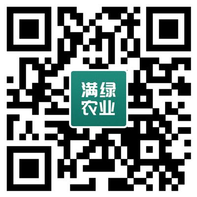 网站二维码